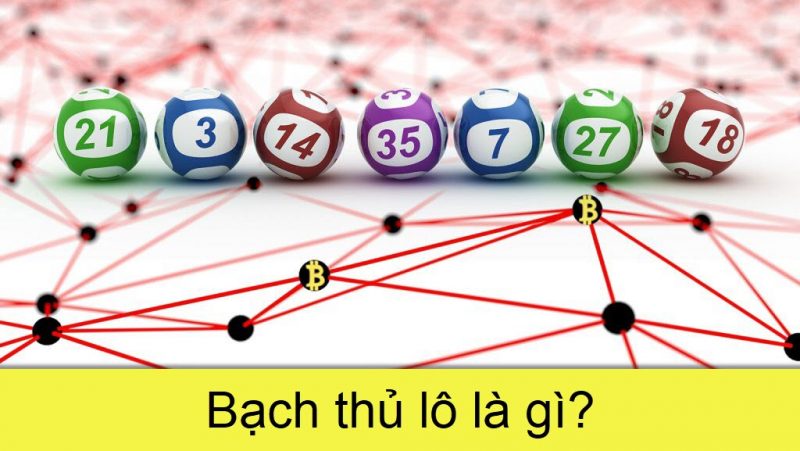 chia sẻ bí quyết soi cầu bạch thủ lô chính xác nhất